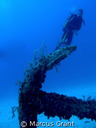 A diver hovers over a large anchor by Marcus Grant 